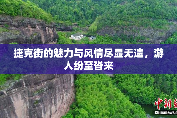 捷克街的魅力与风情尽显无遗，游人纷至沓来