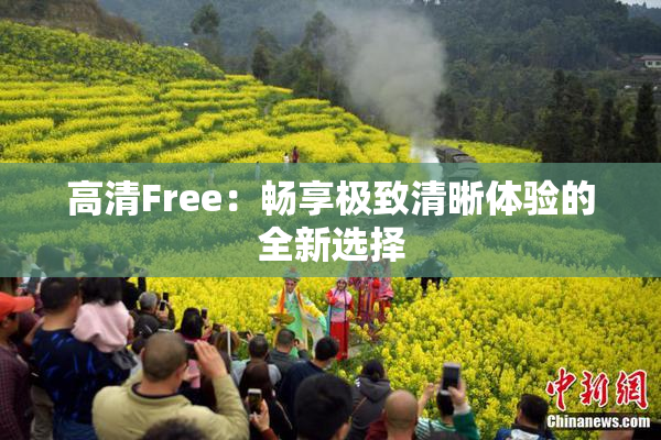 高清Free：畅享极致清晰体验的全新选择