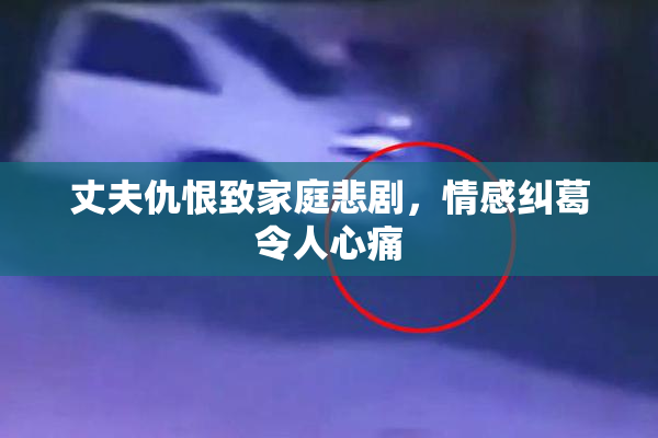 丈夫仇恨致家庭悲剧，情感纠葛令人心痛
