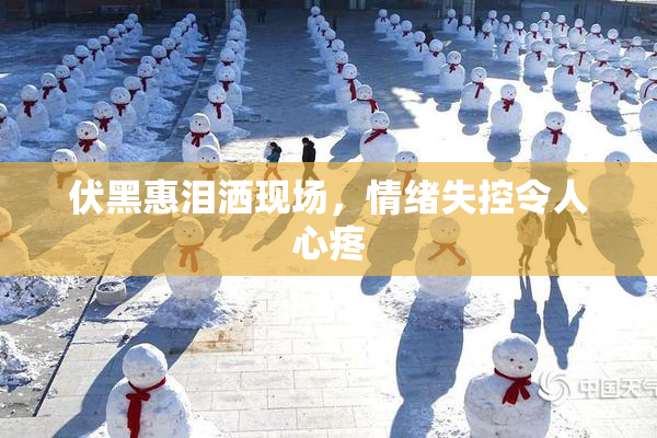 伏黑惠泪洒现场，情绪失控令人心疼