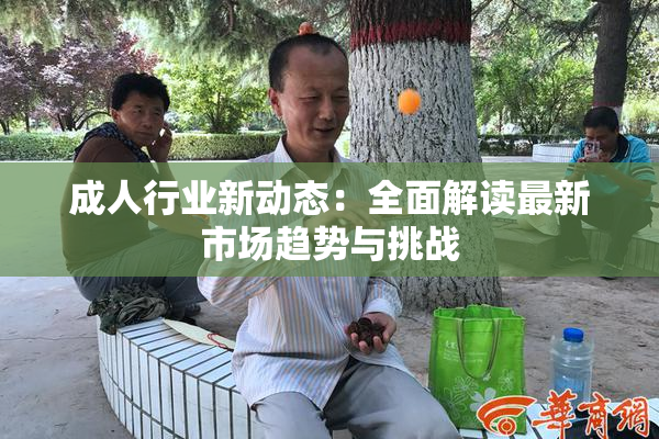 成人行业新动态：全面解读最新市场趋势与挑战