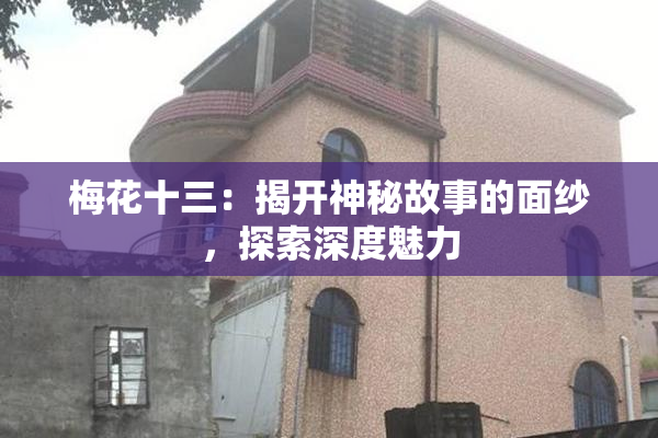 梅花十三：揭开神秘故事的面纱，探索深度魅力