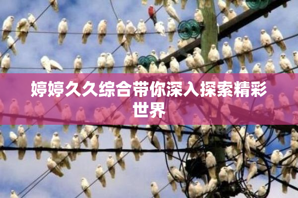 婷婷久久综合带你深入探索精彩世界