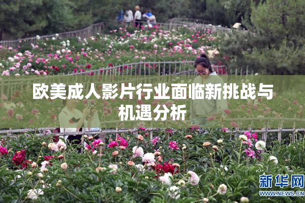 欧美成人影片行业面临新挑战与机遇分析