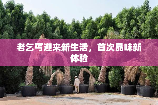 老乞丐迎来新生活，首次品味新体验