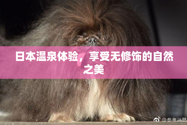 日本温泉体验，享受无修饰的自然之美