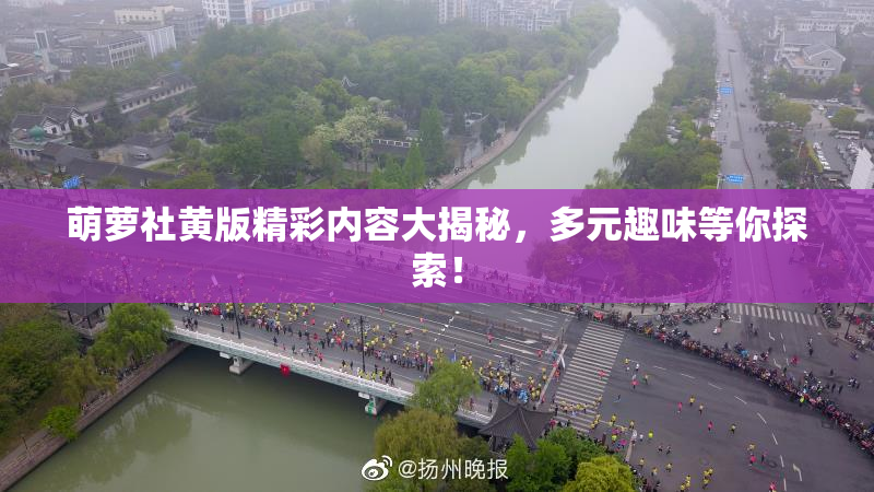 萌萝社黄版精彩内容大揭秘，多元趣味等你探索！