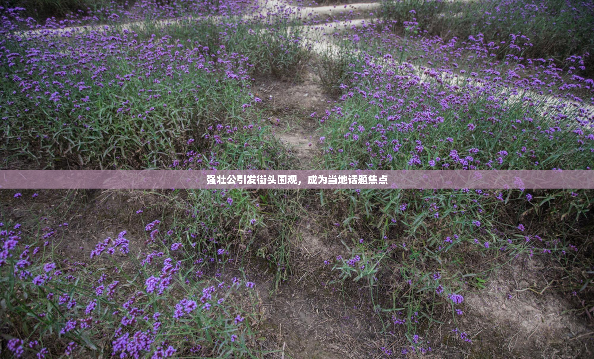 强壮公引发街头围观，成为当地话题焦点