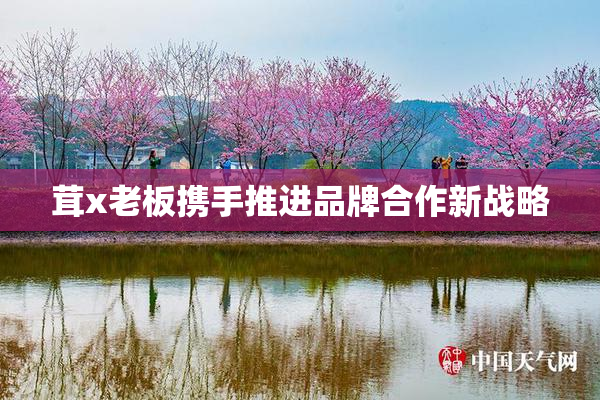 茸x老板携手推进品牌合作新战略