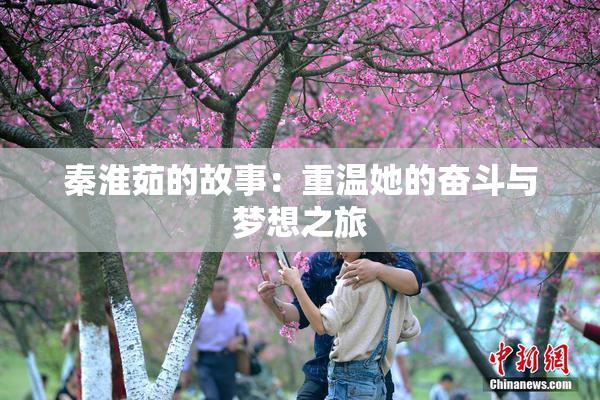 秦淮茹的故事：重温她的奋斗与梦想之旅
