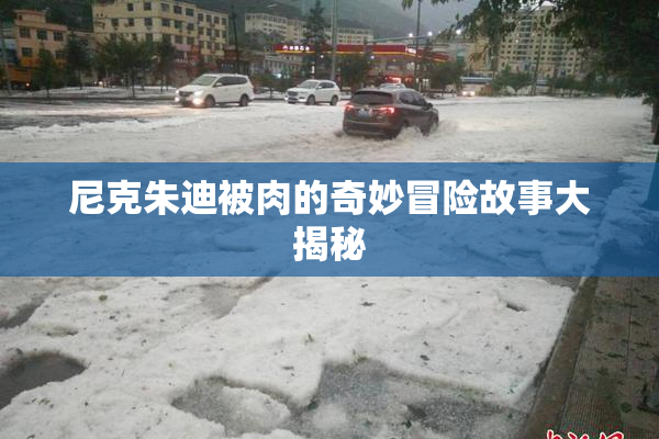 尼克朱迪被肉的奇妙冒险故事大揭秘