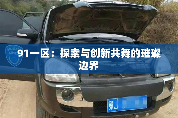 91一区：探索与创新共舞的璀璨边界