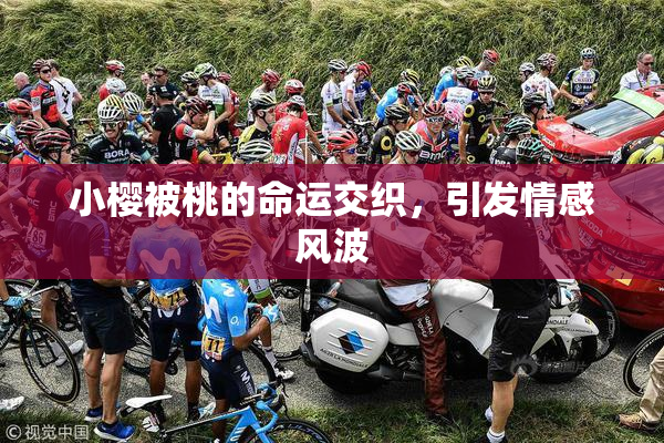 小樱被桃的命运交织，引发情感风波