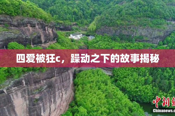 四爱被狂c，躁动之下的故事揭秘