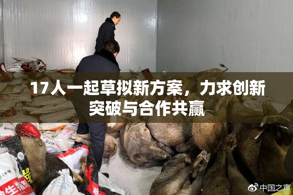 17人一起草拟新方案，力求创新突破与合作共赢