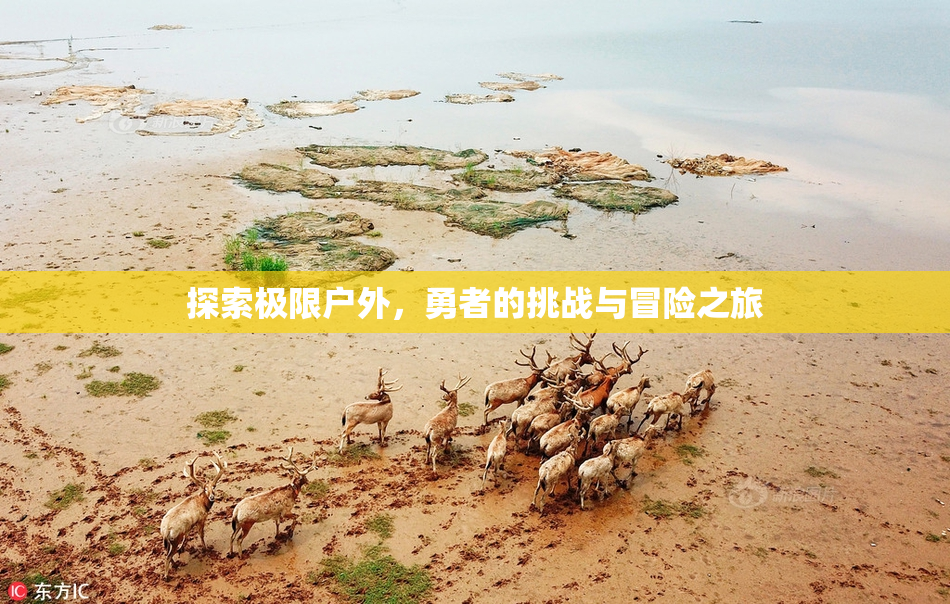 探索极限户外，勇者的挑战与冒险之旅