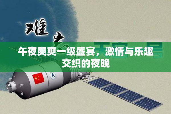 午夜爽爽一级盛宴，激情与乐趣交织的夜晚