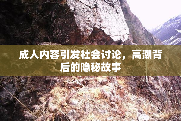 成人内容引发社会讨论，高潮背后的隐秘故事