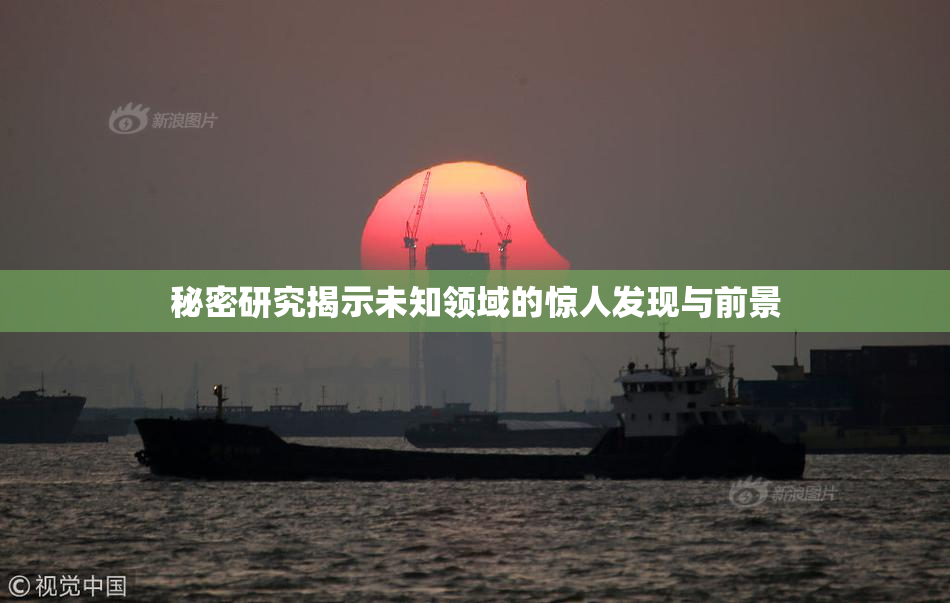 秘密研究揭示未知领域的惊人发现与前景