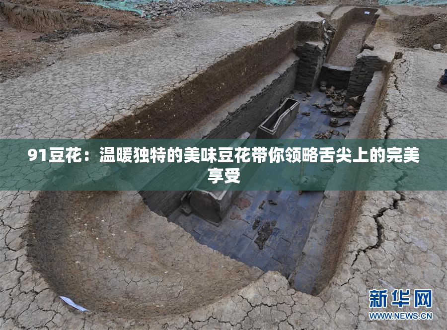 91豆花：温暖独特的美味豆花带你领略舌尖上的完美享受
