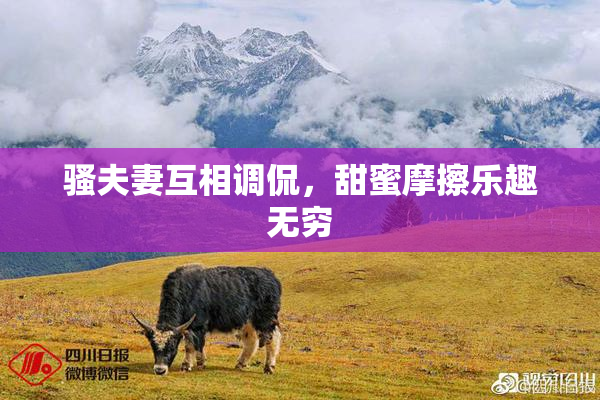 骚夫妻互相调侃，甜蜜摩擦乐趣无穷
