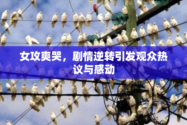 女攻爽哭，剧情逆转引发观众热议与感动