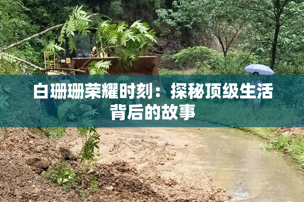 白珊珊荣耀时刻：探秘顶级生活背后的故事