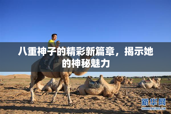 八重神子的精彩新篇章，揭示她的神秘魅力