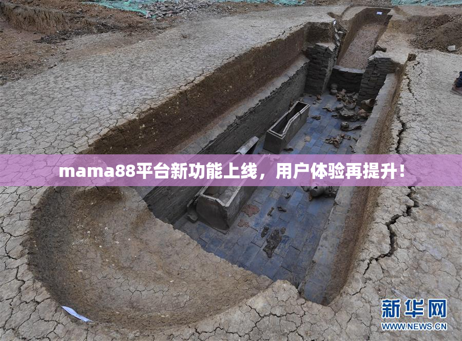 mama88平台新功能上线，用户体验再提升！
