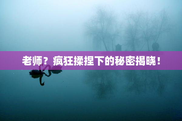 老师？疯狂揉捏下的秘密揭晓！
