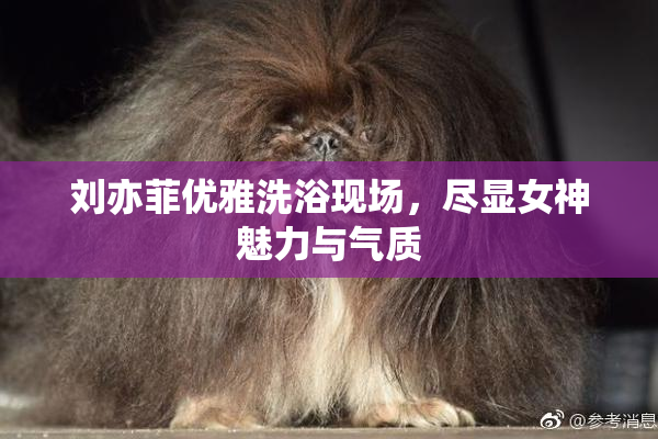 刘亦菲优雅洗浴现场，尽显女神魅力与气质
