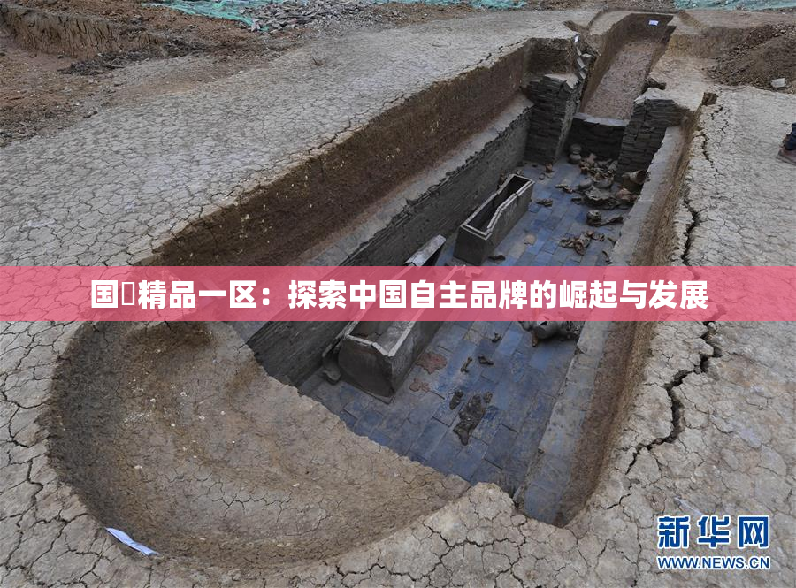 国產精品一区：探索中国自主品牌的崛起与发展