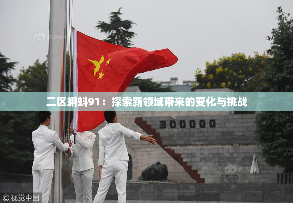 二区蝌蚪91：探索新领域带来的变化与挑战