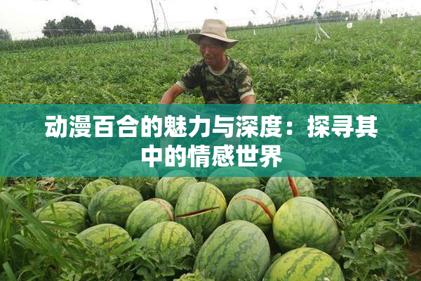 动漫百合的魅力与深度：探寻其中的情感世界
