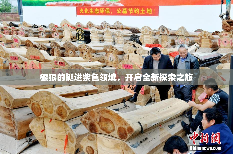 狠狠的挺进紫色领域，开启全新探索之旅