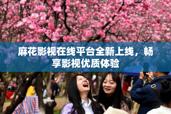 麻花影视在线平台全新上线，畅享影视优质体验