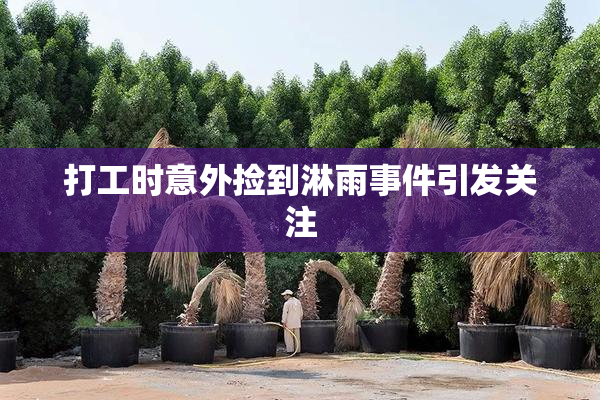 打工时意外捡到淋雨事件引发关注