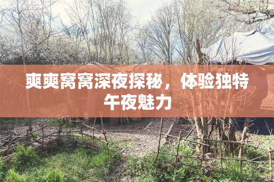 爽爽窝窝深夜探秘，体验独特午夜魅力