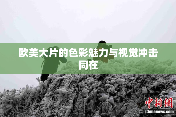 欧美大片的色彩魅力与视觉冲击同在