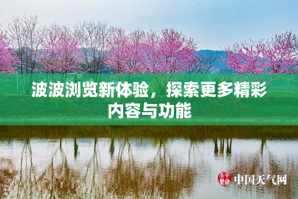 波波浏览新体验，探索更多精彩内容与功能