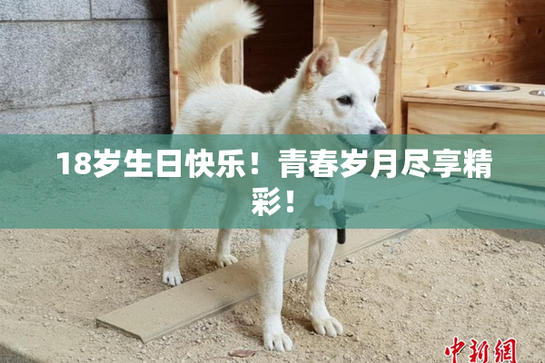 18岁生日快乐！青春岁月尽享精彩！