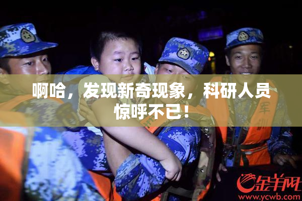 啊哈，发现新奇现象，科研人员惊呼不已！