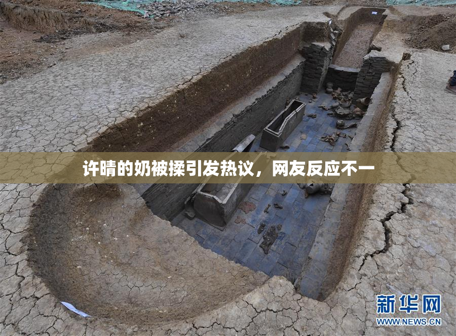 许晴的奶被揉引发热议，网友反应不一