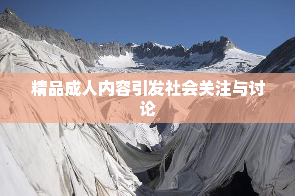 精品成人内容引发社会关注与讨论
