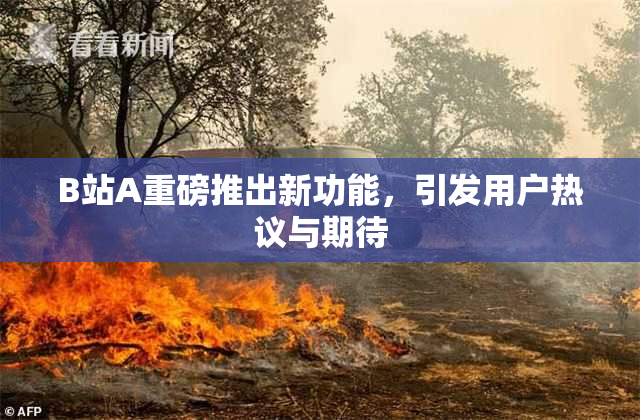 B站A重磅推出新功能，引发用户热议与期待