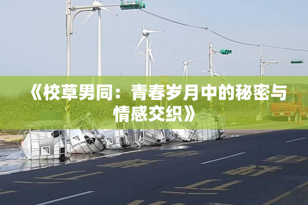 《校草男同：青春岁月中的秘密与情感交织》