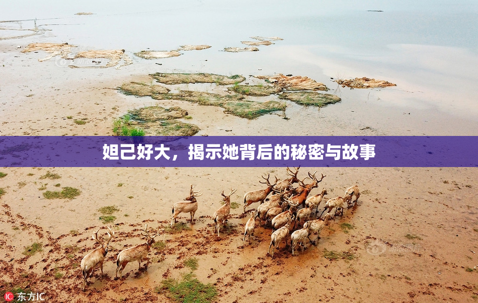妲己好大，揭示她背后的秘密与故事