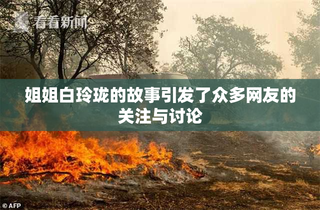 姐姐白玲珑的故事引发了众多网友的关注与讨论