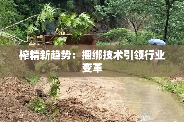 榨精新趋势：捆绑技术引领行业变革