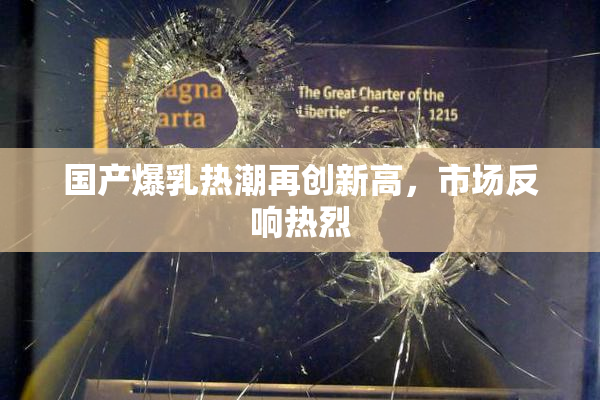 国产爆乳热潮再创新高，市场反响热烈